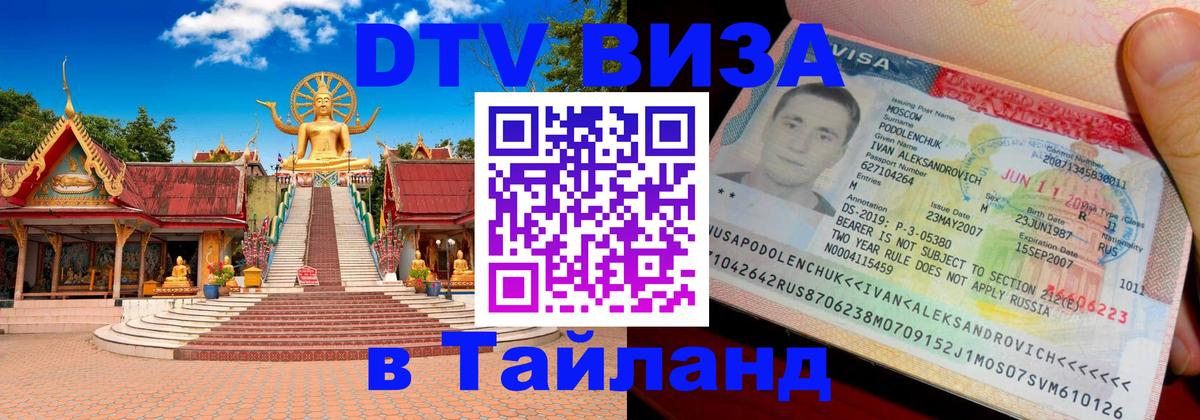 Сколько стоит DTV виза — актуальные цены, оформление даже без документов - Бердск 